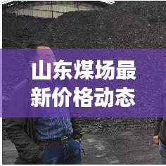 山东煤场最新价格动态，今日行情、市场趋势及影响因素全解析