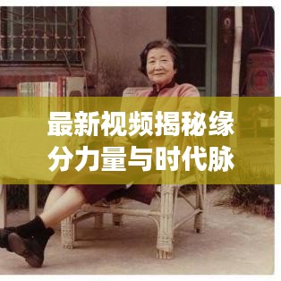 最新视频揭秘缘分力量与时代脉搏，探寻情感与机遇的交汇点