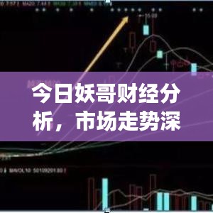 今日妖哥财经分析，市场走势深度解读与投资策略探讨