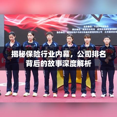 揭秘保险行业内幕，公司排名背后的故事深度解析