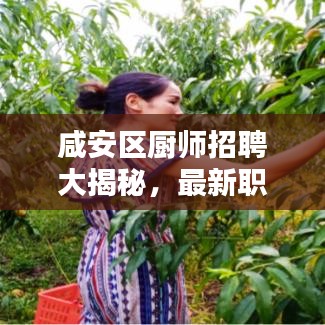 咸安区厨师招聘大揭秘，最新职位信息汇总