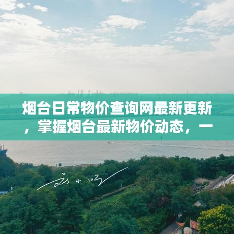 烟台日常物价查询网最新更新，掌握烟台最新物价动态，一键了解生活成本！
