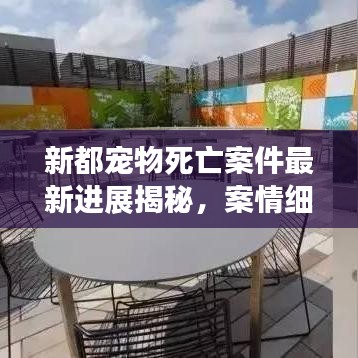 新都宠物死亡案件最新进展揭秘，案情细节曝光！