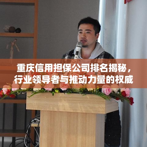 重庆信用担保公司排名揭秘，行业领导者与推动力量的权威榜单