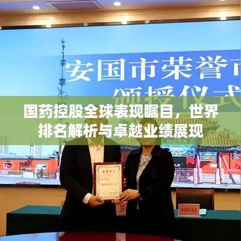 国药控股全球表现瞩目，世界排名解析与卓越业绩展现