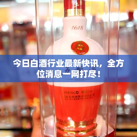 今日白酒行业最新快讯，全方位消息一网打尽！