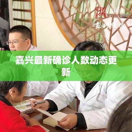 嘉兴最新确诊人数动态更新