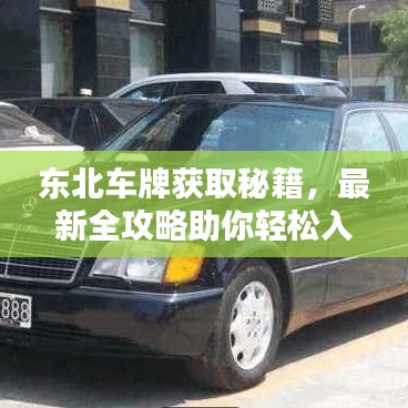 东北车牌获取秘籍，最新全攻略助你轻松入手！