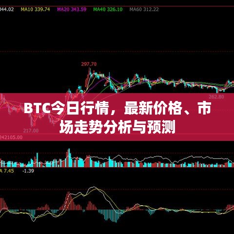 BTC今日行情，最新价格、市场走势分析与预测