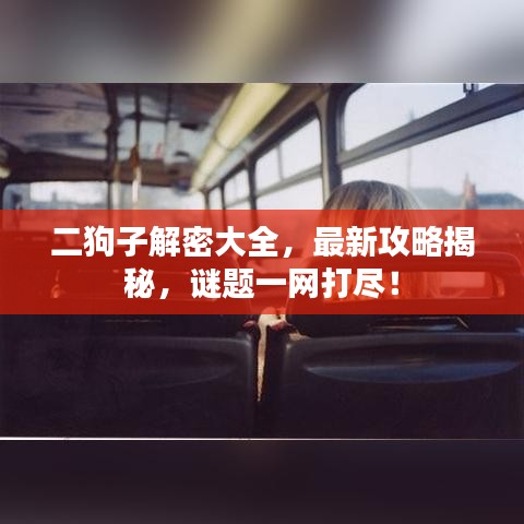 二狗子解密大全，最新攻略揭秘，谜题一网打尽！