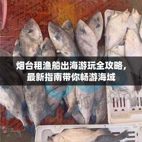 烟台租渔船出海游玩全攻略，最新指南带你畅游海域
