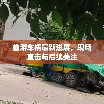 仙游车祸最新进展，现场直击与后续关注