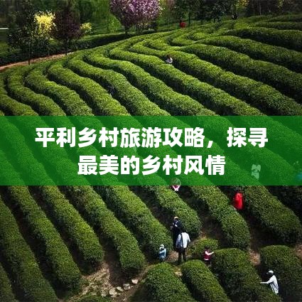 平利乡村旅游攻略，探寻最美的乡村风情