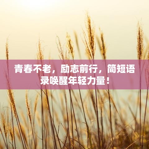 青春不老,励志前行,简短语录唤醒年轻力量!