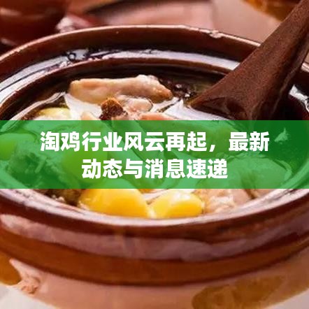 淘鸡行业风云再起，最新动态与消息速递