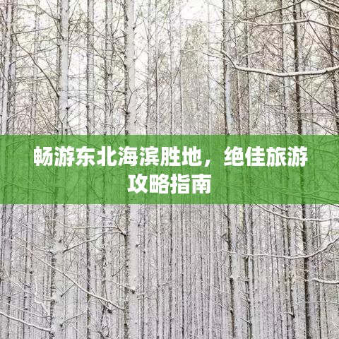 畅游东北海滨胜地，绝佳旅游攻略指南