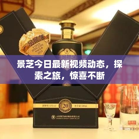 景芝今日最新视频动态，探索之旅，惊喜不断