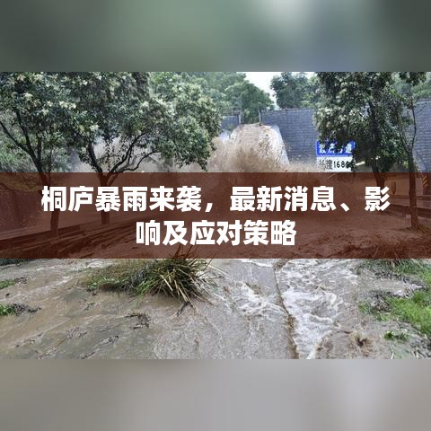 桐庐暴雨来袭,最新消息、影响及应对策略