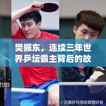 樊振东，连续三年世界乒坛霸主背后的故事