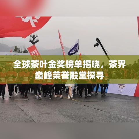 全球茶叶金奖榜单揭晓,茶界巅峰荣誉殿堂探寻