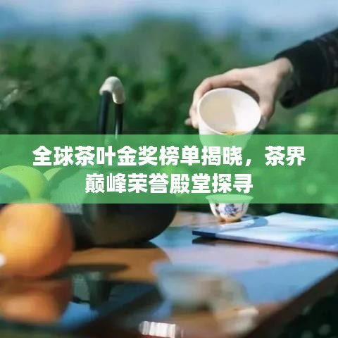 全球茶叶金奖榜单揭晓,茶界巅峰荣誉殿堂探寻