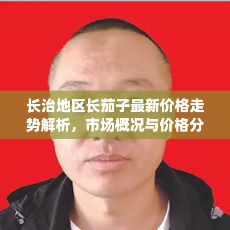 长治地区长茄子最新价格走势解析，市场概况与价格分析