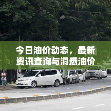 今日油价动态，最新资讯查询与洞悉油价走势