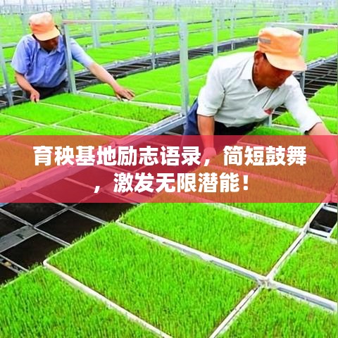 育秧基地励志语录，简短鼓舞，激发无限潜能！