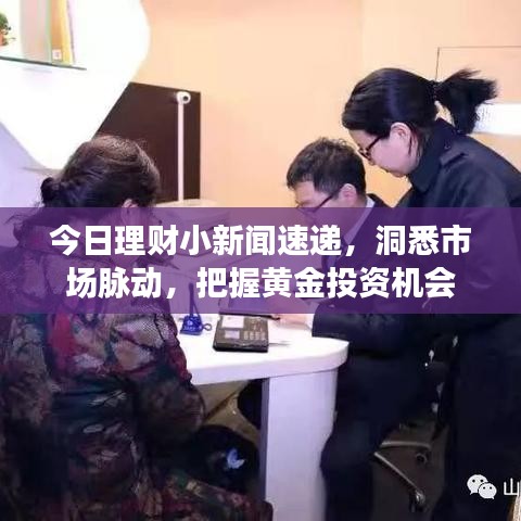 今日理财小新闻速递，洞悉市场脉动，把握黄金投资机会