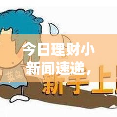 今日理财小新闻速递,洞悉市场脉动,把握黄金投资机会