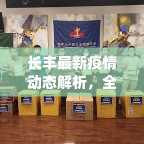 长丰最新疫情动态解析，全面应对，守护健康防线