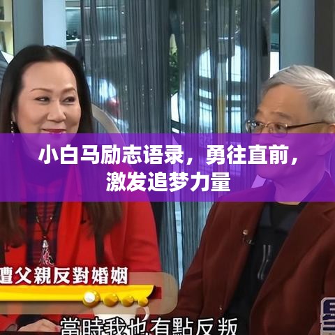 小白马励志语录，勇往直前，激发追梦力量