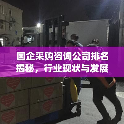 国企采购咨询公司排名揭秘，行业现状与发展趋势深度剖析