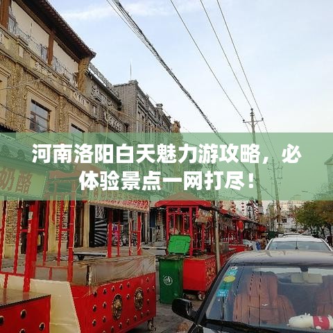 河南洛阳白天魅力游攻略,必体验景点一网打尽!