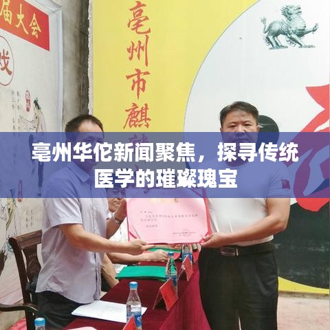 亳州华佗新闻聚焦,探寻传统医学的璀璨瑰宝