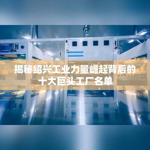 揭秘绍兴工业力量崛起背后的十大巨头工厂名单