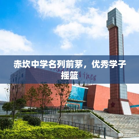 赤坎中学名列前茅，优秀学子摇篮