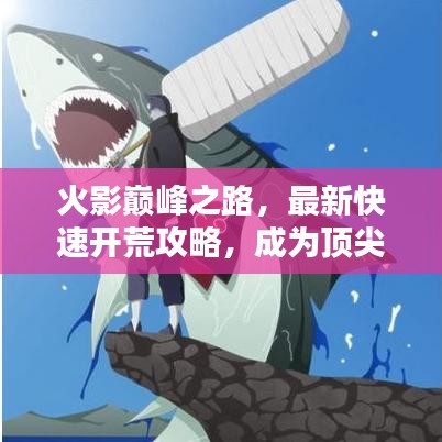 火影巅峰之路，最新快速开荒攻略，成为顶尖忍者指南
