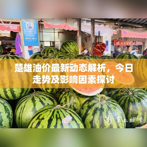 楚雄油价最新动态解析，今日走势及影响因素探讨