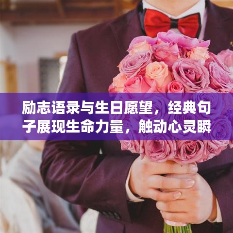励志语录与生日愿望，经典句子展现生命力量，触动心灵瞬间！