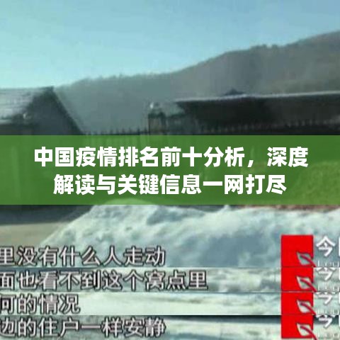 中国疫情排名前十分析，深度解读与关键信息一网打尽