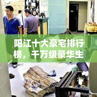 阳江十大豪宅排行榜，千万级豪华生活典范