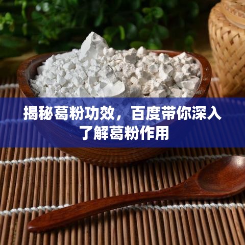 揭秘葛粉功效，百度带你深入了解葛粉作用