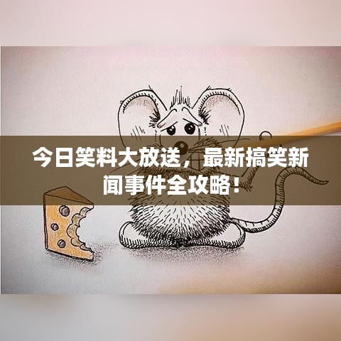 今日笑料大放送，最新搞笑新闻事件全攻略！