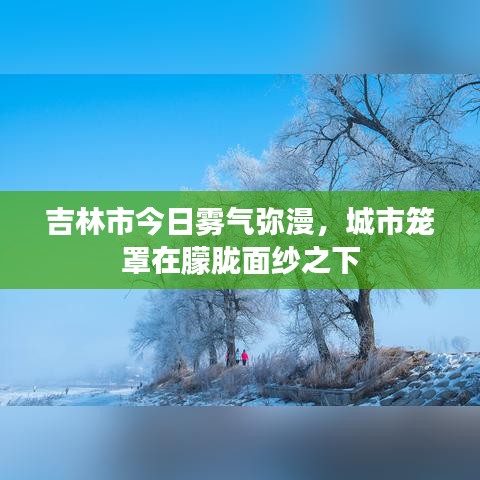 吉林市今日雾气弥漫，城市笼罩在朦胧面纱之下