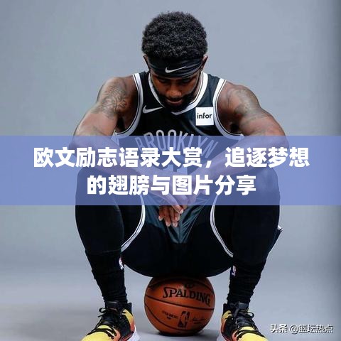 欧文励志语录大赏，追逐梦想的翅膀与图片分享