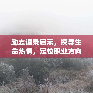 飞黄腾达 第8页