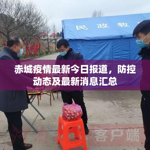 赤城疫情最新今日报道，防控动态及最新消息汇总