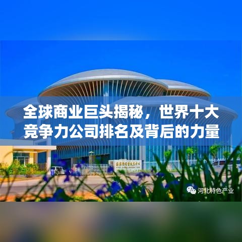 全球商业巨头揭秘，世界十大竞争力公司排名及背后的力量探究
