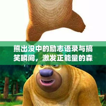 熊出没中的励志语录与搞笑瞬间，激发正能量的森林冒险之旅！